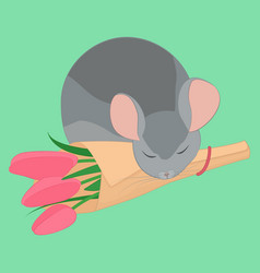 Gray Sleepy Chinchilla And Pink Flowers Bouqet