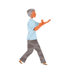 Senior Man Character Practicing Tai Chi And Qigong