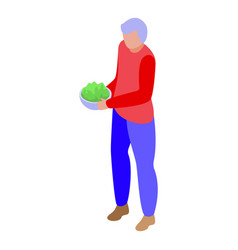 Fresh Homemade Salad Icon Isometric Adult