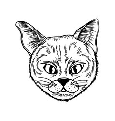 Cat Spotted Striped Head Symmetrical Sketch