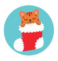 Cute Cat In A Christmas Stocking Happy Holidays