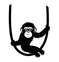 Cute Monkey On A Swing In The Jungle