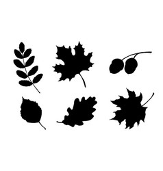 Maple Birch Tree And Oak Leaves Silhouette Hand