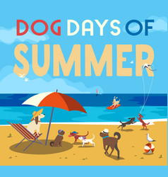 Dog Days Of Summer Rest On Sea Beach Cute Poster