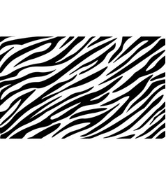 Zebra Skin Pattern Background Animal Striped Fur