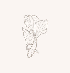 Elegant Line Art Drawing Of A Betta Fish Siamese