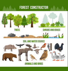 Forest Constructor Poster