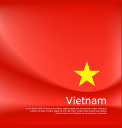 Vietnam Flag Background Blurred Pattern