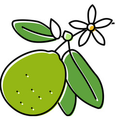 Lime Blossom Color Icon