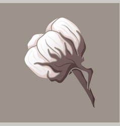 Cartoon Bud Or Bulb Of A Cotton Plant On A Twig