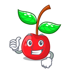 Thumbs Up Fruit Cherry Above Wooden Character