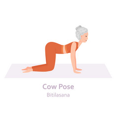 Cow Yoga Pose Bitilasana Elderly Woman