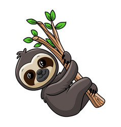 Cute Baby Sloth On Tree Branch