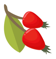 Berry Rosehip Icon Cartoon Forest Food