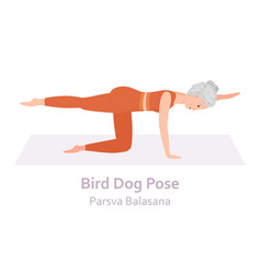 Bird Dog Yoga Pose Parsva Balasana Elderly Woman