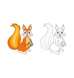 Squirrel Line And Color