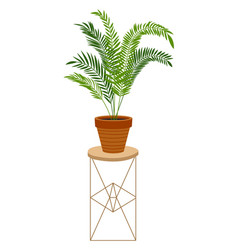 Green Houseplant Home Garden Plant In Ceramic