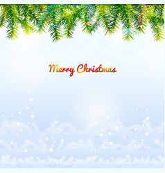 Holiday Background With Top Pine Branches