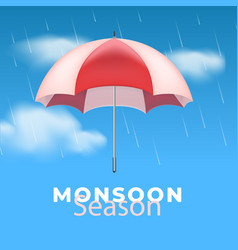 Monsoon Season Celebration