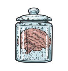 Human Brain In Jar Sketch