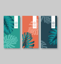 Branding Packaging Nature Leaf Background