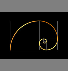 Golden Ratio Proportion Spiral Section