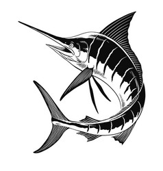 Marlin Fish Jump Hand Drawn Isolated