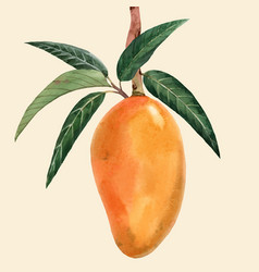 Watercolor Mango Fruit