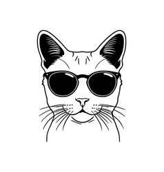 Cat With Sunglasses Stylish Cat Cool Cat Shades