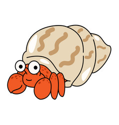 Cute Hermit Crab