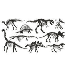 Cartoon Dino Skeleton Silhouettes Ancient