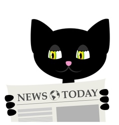 Black Cat Is Reading A Newspaper