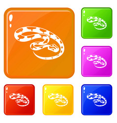 King Snake Icons Set Color