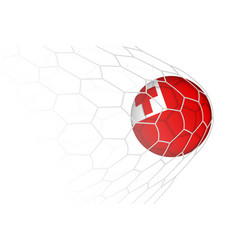 Tonga Flag Soccer Ball In Net