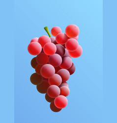 Bunch Of Red Grapes Sketch