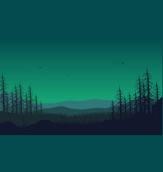 Dramatic Forest And Mountain Views At Night