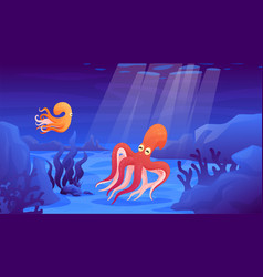 Octopus Ocean Floor Flat Floating Sea