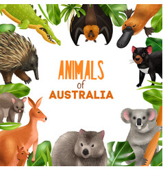 Australian Animals Frame Composition