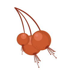 Harvest Cherries Icon