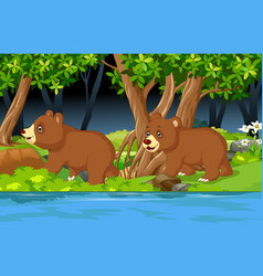 Brown Bear Cartoon Playing In Forest