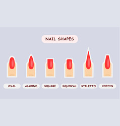 Nail Shape Guide For Beauty School