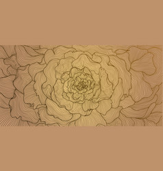 Art Deco Rose Peony Line Background