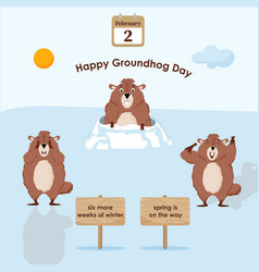 Happy Groundhog Day Flowchart With An A Funny