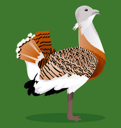 Great Bustard Cartoon Bird