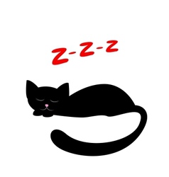 Sleeping Black Cat