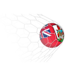 Bermuda Flag Soccer Ball In Net