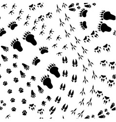 Seamless Pattern Animal Trail Texture With Wild