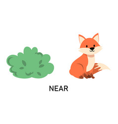 Fox Sitting Near The Bush