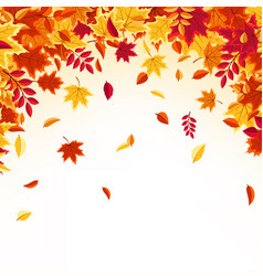 Autumn falling leaves nature background with red Vector Image