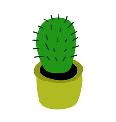 Cactus In A Pot